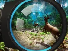 Hunter 3d